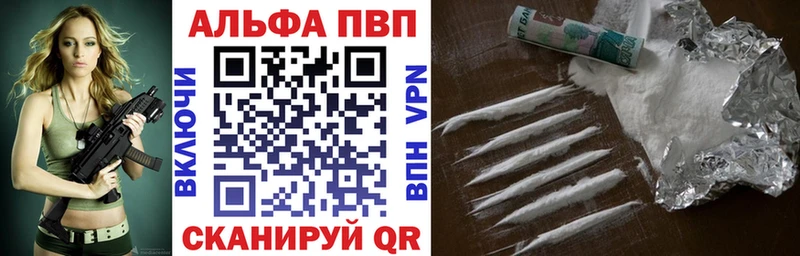 A PVP СК  Пошехонье 
