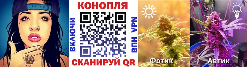 Бошки Шишки VHQ  blacksprut   Пошехонье 